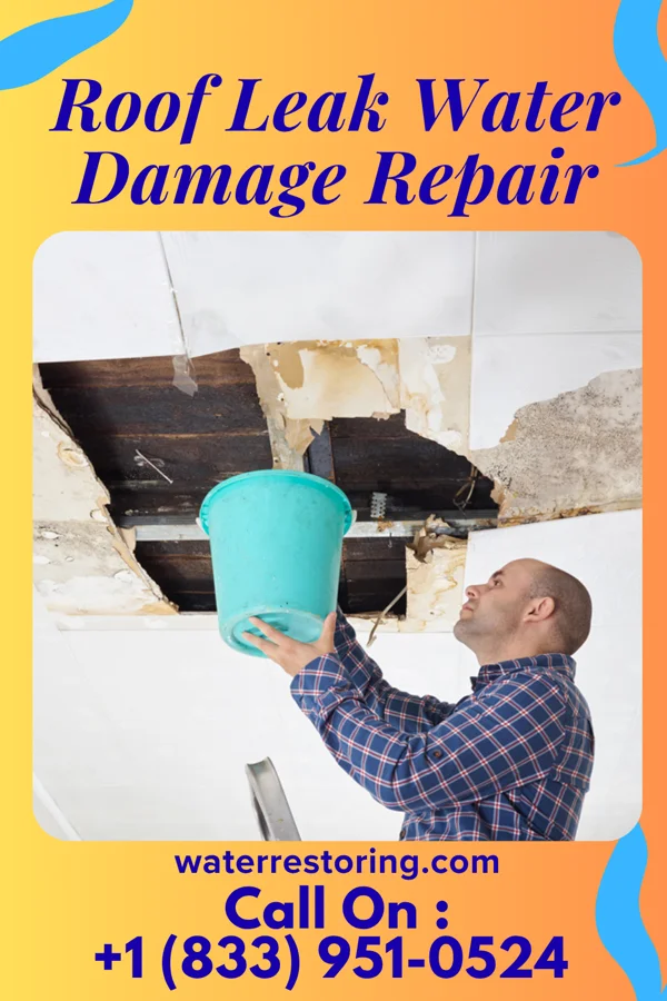 Roof Leak Water Damage Repair in Coleman, FL